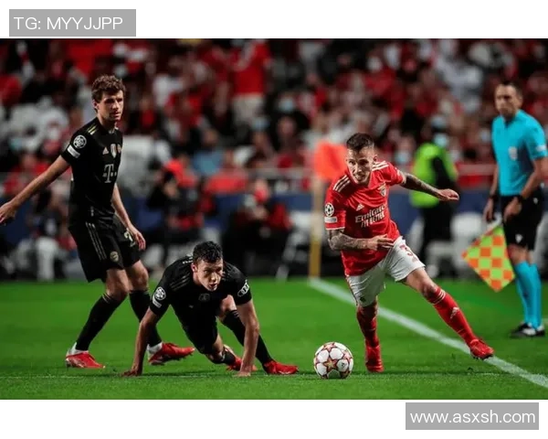 欧冠激战：那不勒斯与本菲卡战平引发全场热议与数据分析