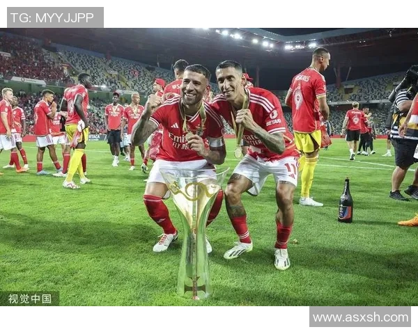 世界杯精彩对决本菲卡以3-0战胜里昂补时进球点燃全场激情