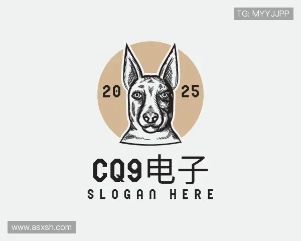 介绍cq9